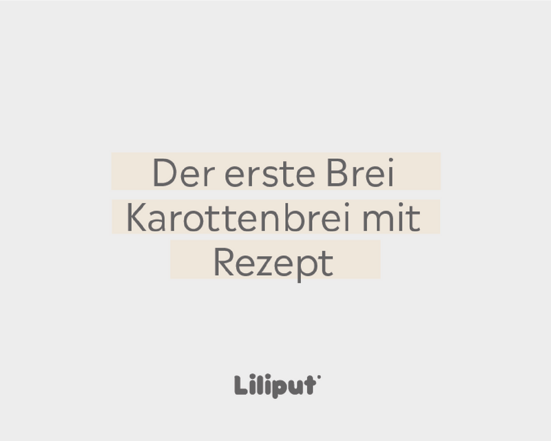 Beikost Karottenbrei