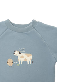 Detailansicht des Sweatshirts mit Raglanärmeln und weichem Rippenbündchen am Halsausschnitt.