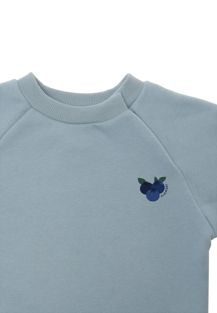 nähere aufnahme vom sweatshirt in hellblau mit dem druck von blaubeeren