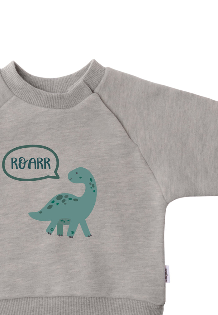 Detailaufnahme Sweatshirt mit Raglanärmeln in grau und grünem Dino Aufdruck