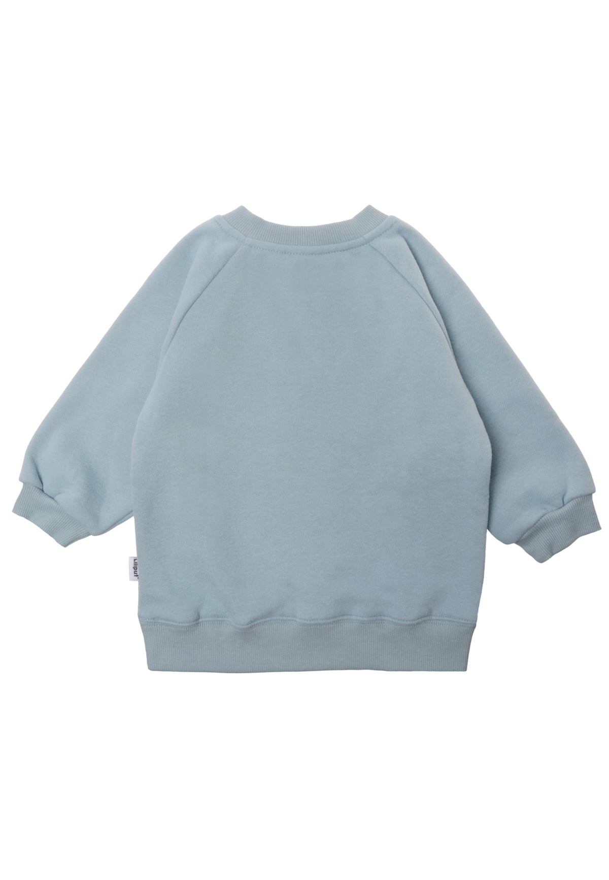 Sweatshirt in hellblau mit Print "Babyccino Club"