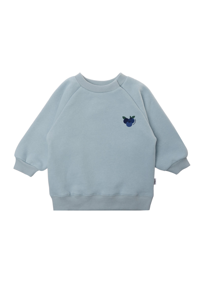 vorderseite vom sweatshirt in hellblau mit dem druck von blaubeeren 