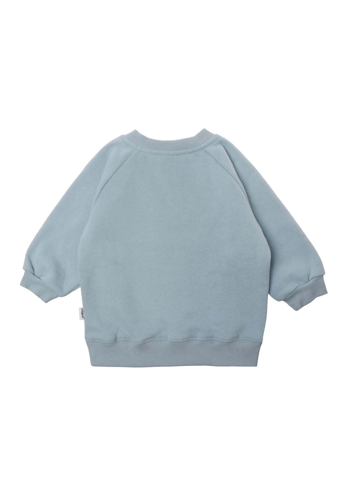 Rückseite vom sweatshirt in hellblau mit Raglanärmeln.