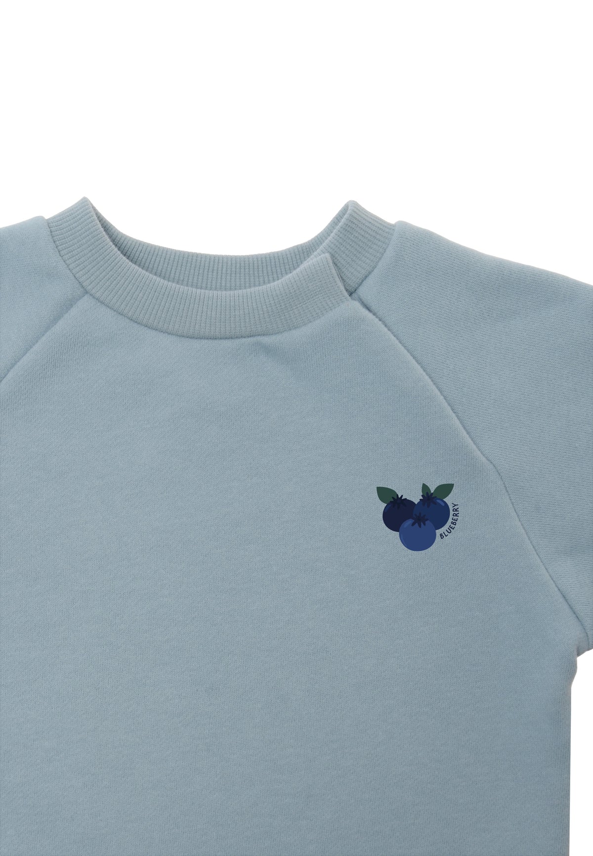 nähere aufnahme vom sweatshirt in hellblau mit dem druck von blaubeeren 