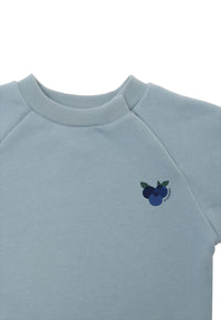 nähere aufnahme vom sweatshirt in hellblau mit dem druck von blaubeeren 