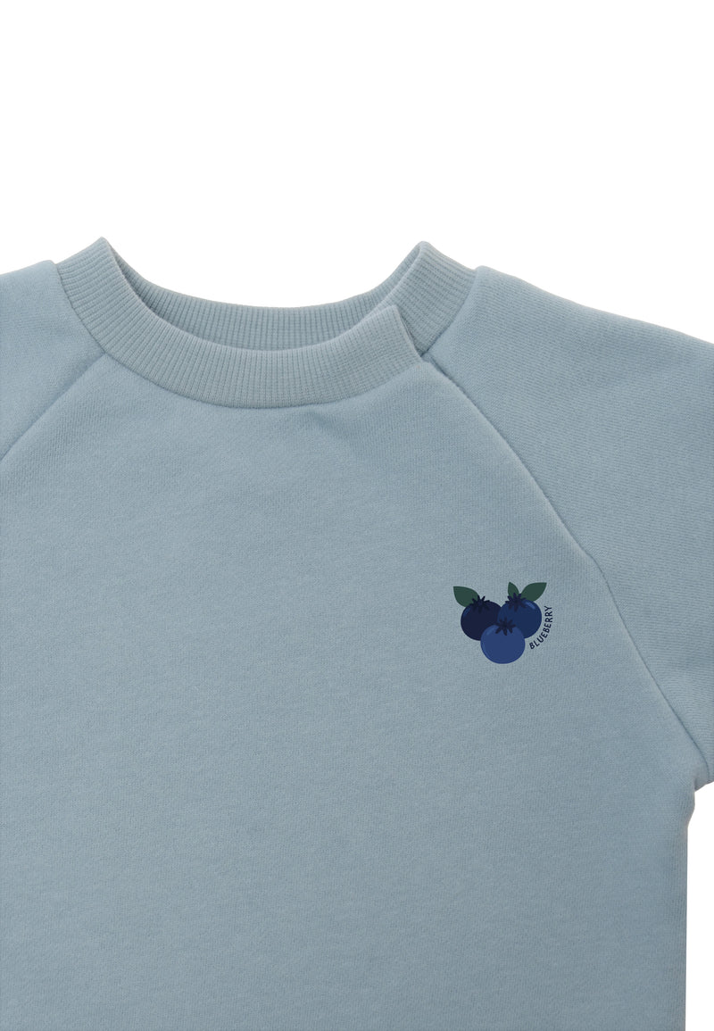 nähere aufnahme vom sweatshirt in hellblau mit dem druck von blaubeeren 
