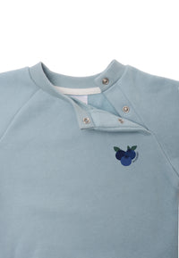 ofene druckknöpfchen vom sweatshirt in hellblau mit dem druck von blaubeeren 