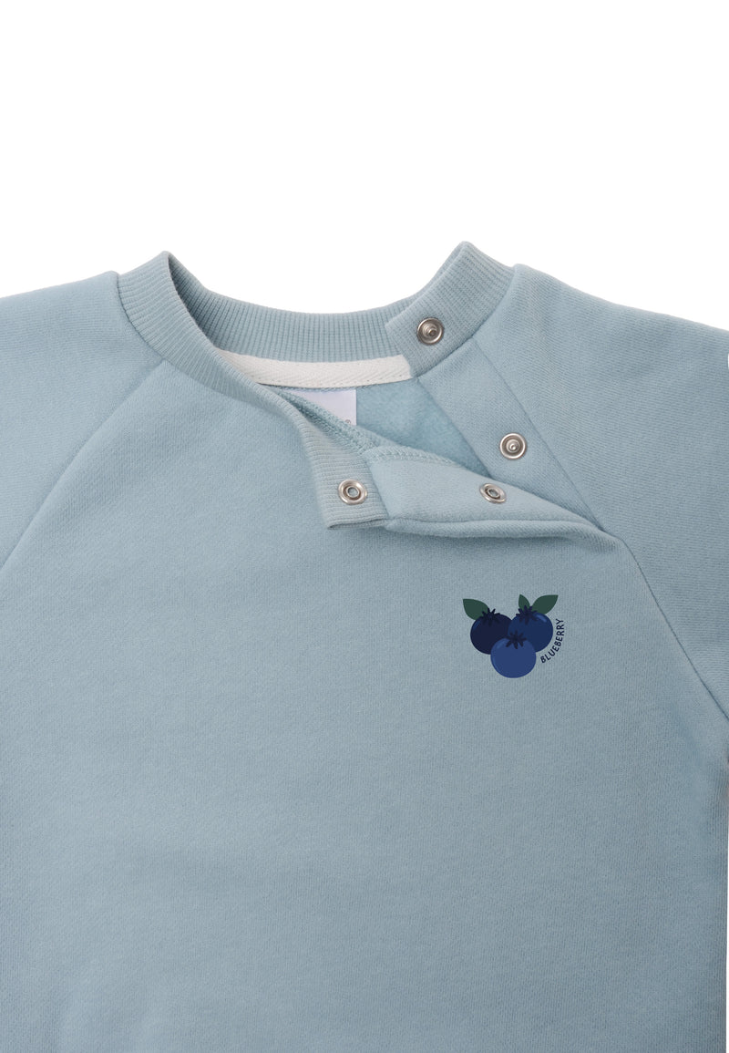 ofene druckknöpfchen vom sweatshirt in hellblau mit dem druck von blaubeeren 