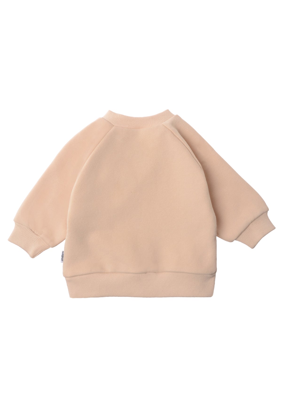 rückseite vom sweatshirt in beige mit dem druck von blaubeeren 