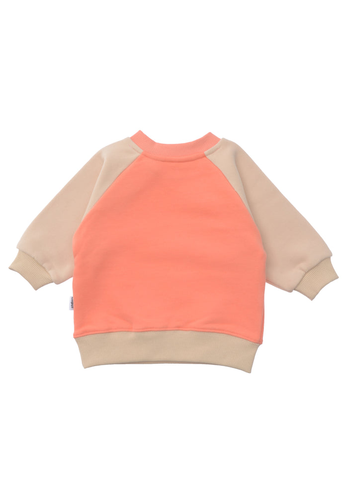 Rckseite des Sweatshirts in beige/orange mit Herzchen Print