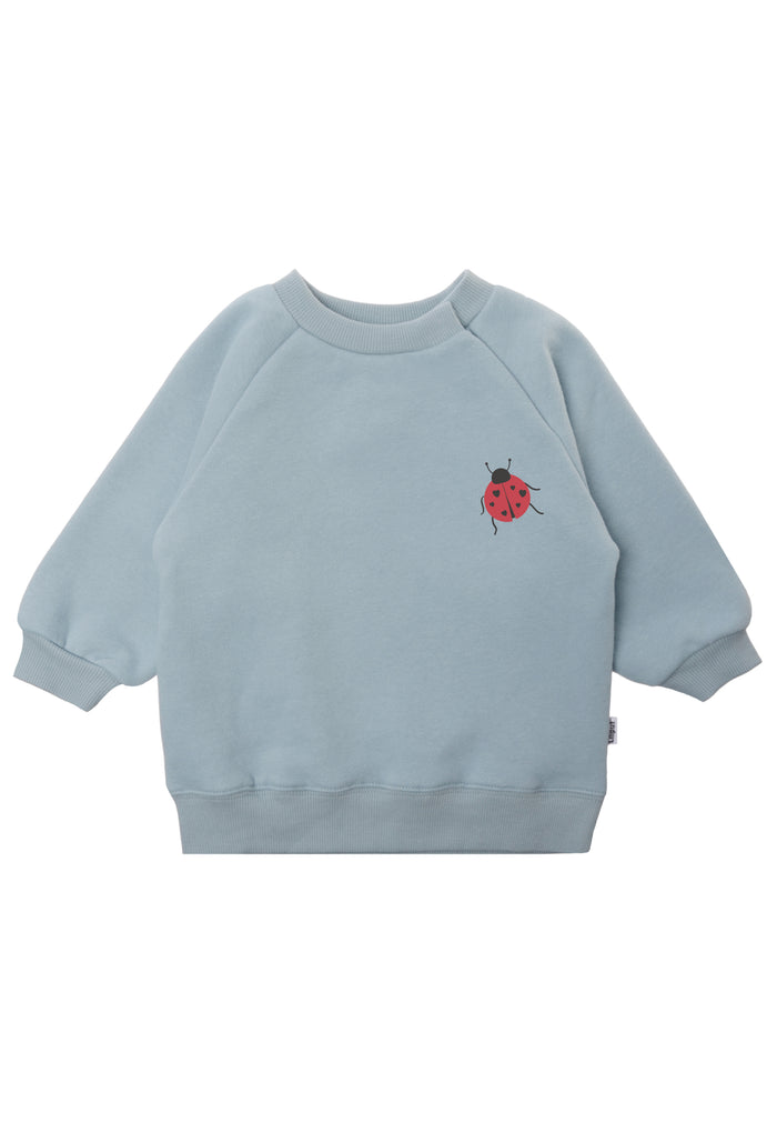 Hellblaues Sweatshirt mit kleinem Marienkäfer Aufdruck.