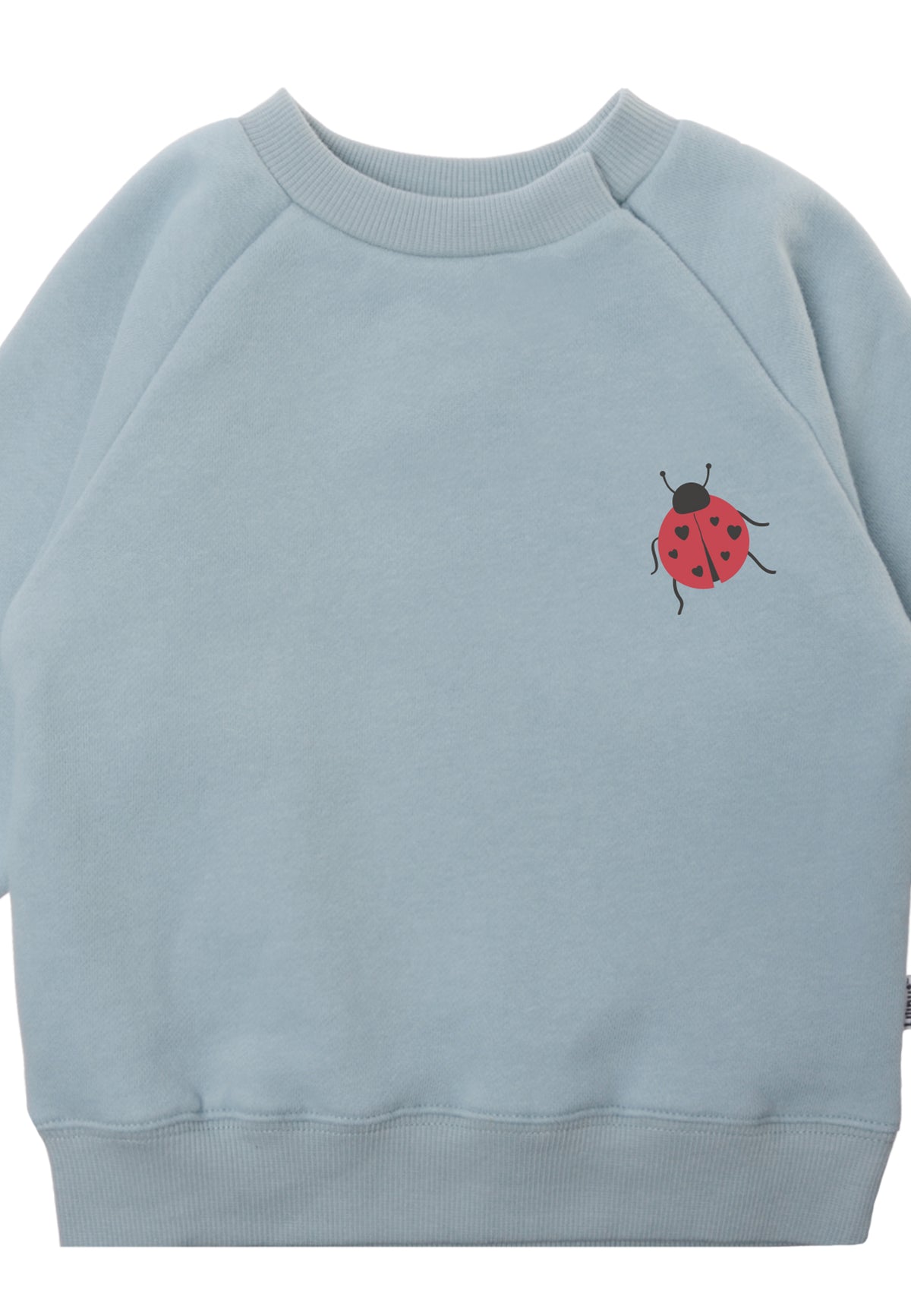 Detailansicht des hellblauen Sweaters mit keinem Marienkäfer als Print.