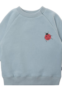 Detailansicht des hellblauen Sweaters mit keinem Marienkäfer als Print.