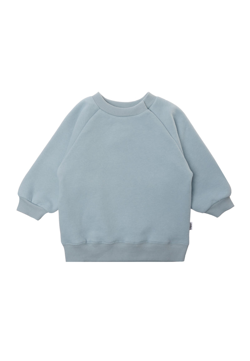 vorderseite von dem Sweatshirt in hellblau 