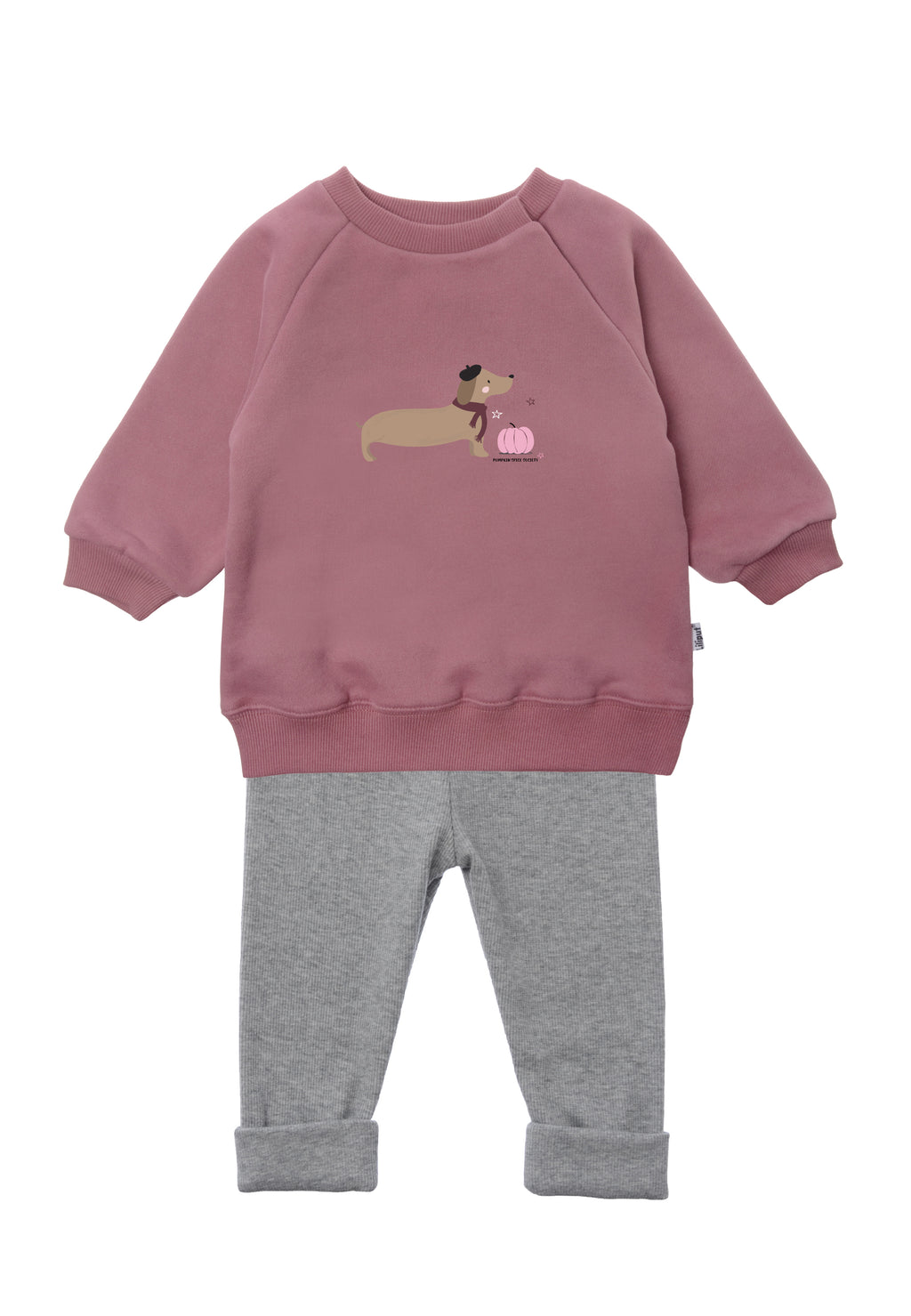 2tlg. Set mit Sweatshirt in rosenholz "Dackel mit Kürbis rosa" und Leggings in der Farbe dunkelgraumelange