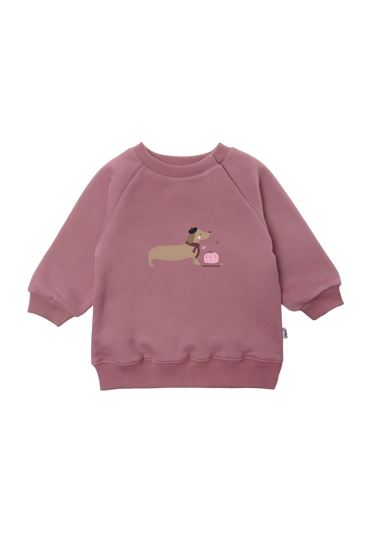 Sweatshirt in rosenholz "Dackel mit Kürbis rosa" 