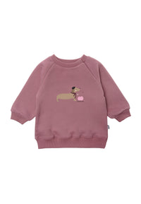 Sweatshirt in rosenholz "Dackel mit Kürbis rosa" 