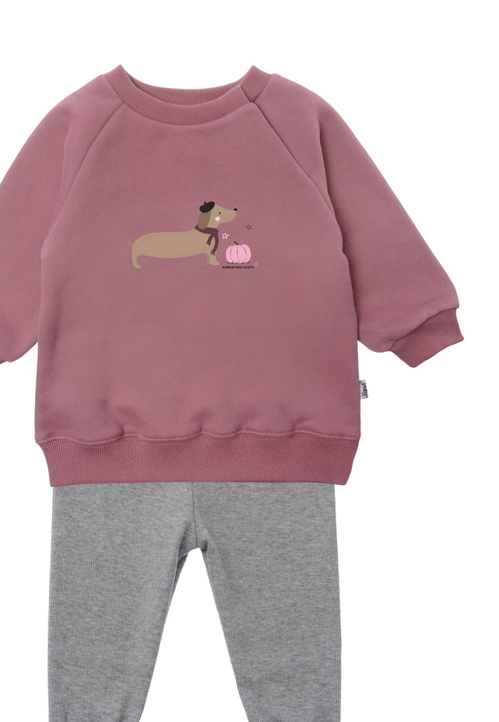 In Detail 2tlg. Set mit Sweatshirt in rosenholz "Dackel mit Kürbis rosa" und Leggings in der Farbe dunkelgraumelange