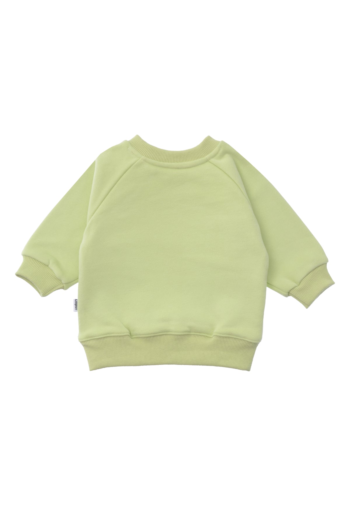 Rückseite vom Sweatshirt in der hellgrün mit "smily" Print