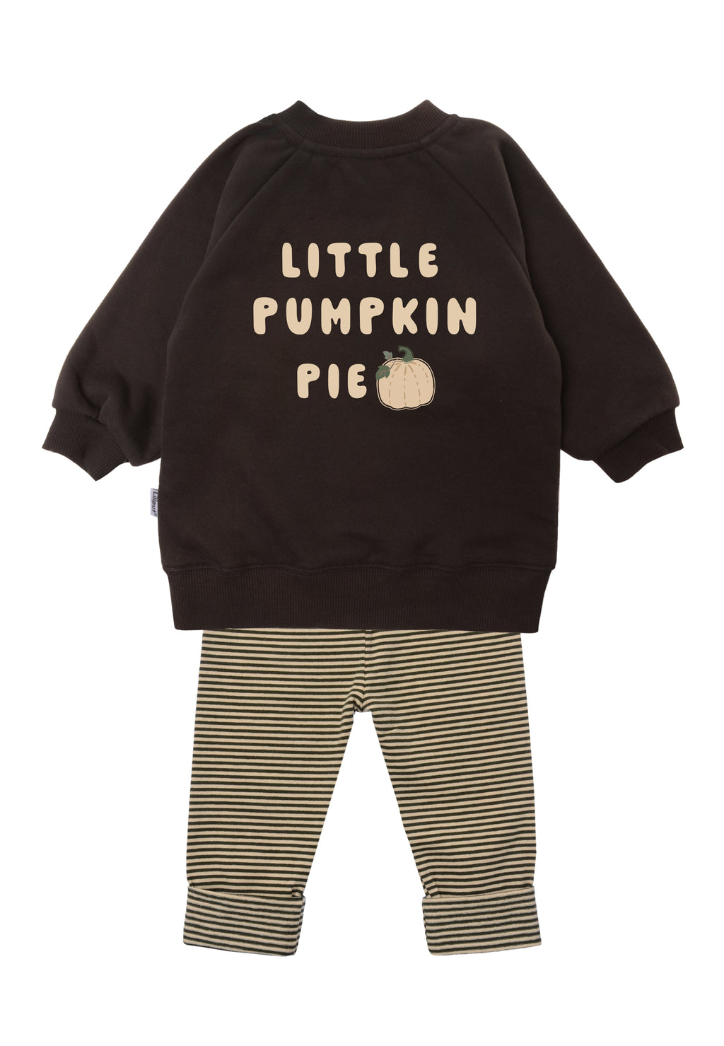 2tlg. Set mit Sweatshirt und Leggings "little pumpkin pie" in der farbe braun/oliv