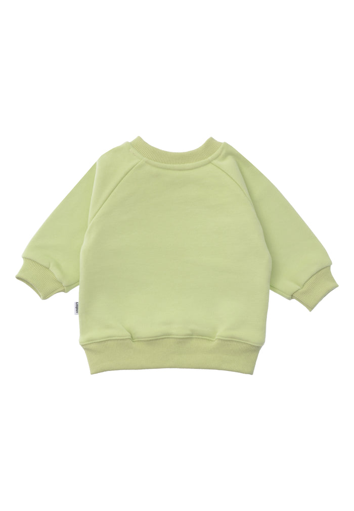 Rückseite des Sweatshirts in hellgrün mit Raglanärmeln und stretchigen Bündchen.