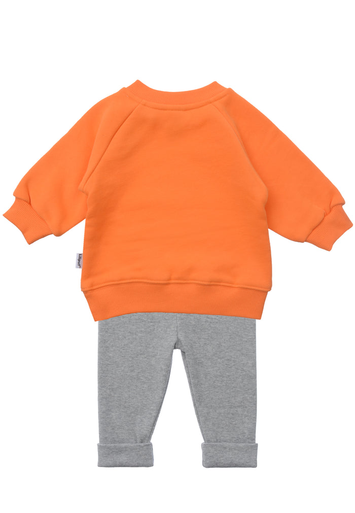 2tlg. Set mit Sweatshirt "little pumpkin" in orange und Leggings