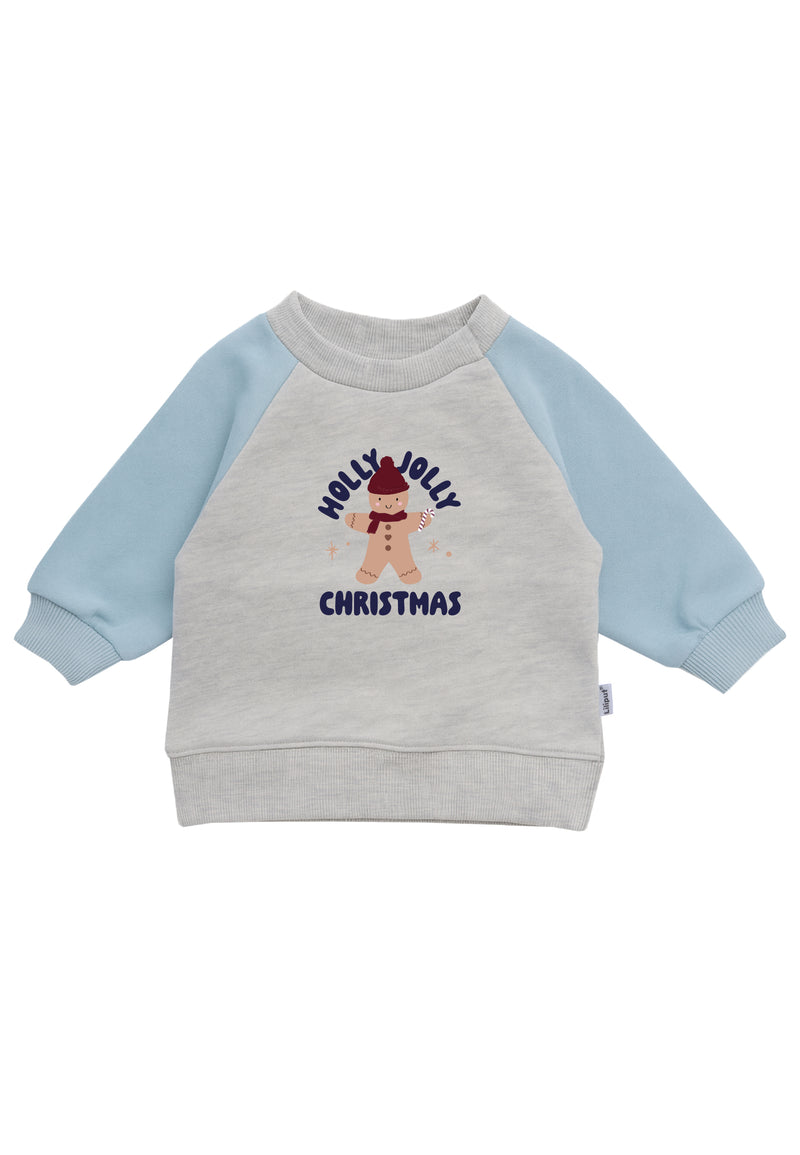 Multicolor Sweatshirt grau hellblau "Holly Jolly"