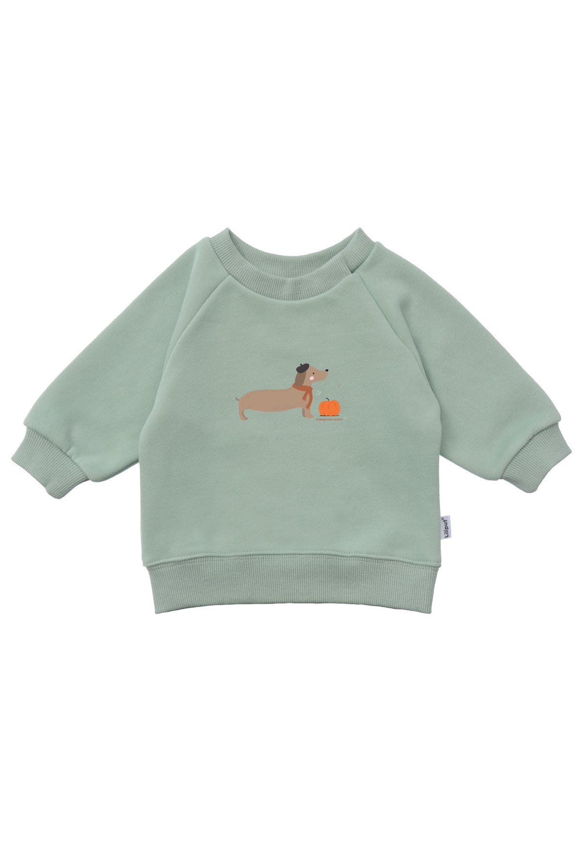 Sweatshirt in schilf mit Dackel Print.