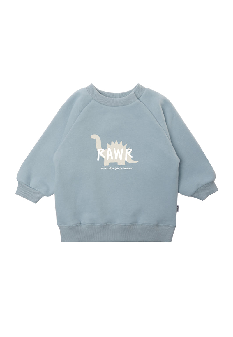 Dino Sweatshirt in hellblau und Wording in weiß/ecru.