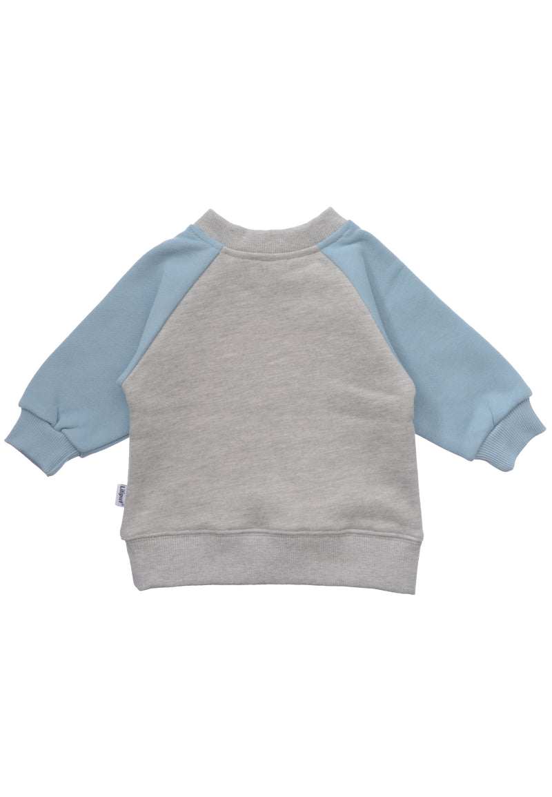 Rückseite des Multicolor Sweater in hellblau und grau melange.