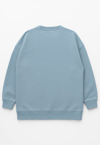 Erwachsenen Sweatshirt hellblau