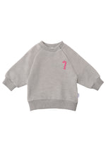 Graues Sweatshirt mit einem pinken Zuckerstangen Aufdruck.