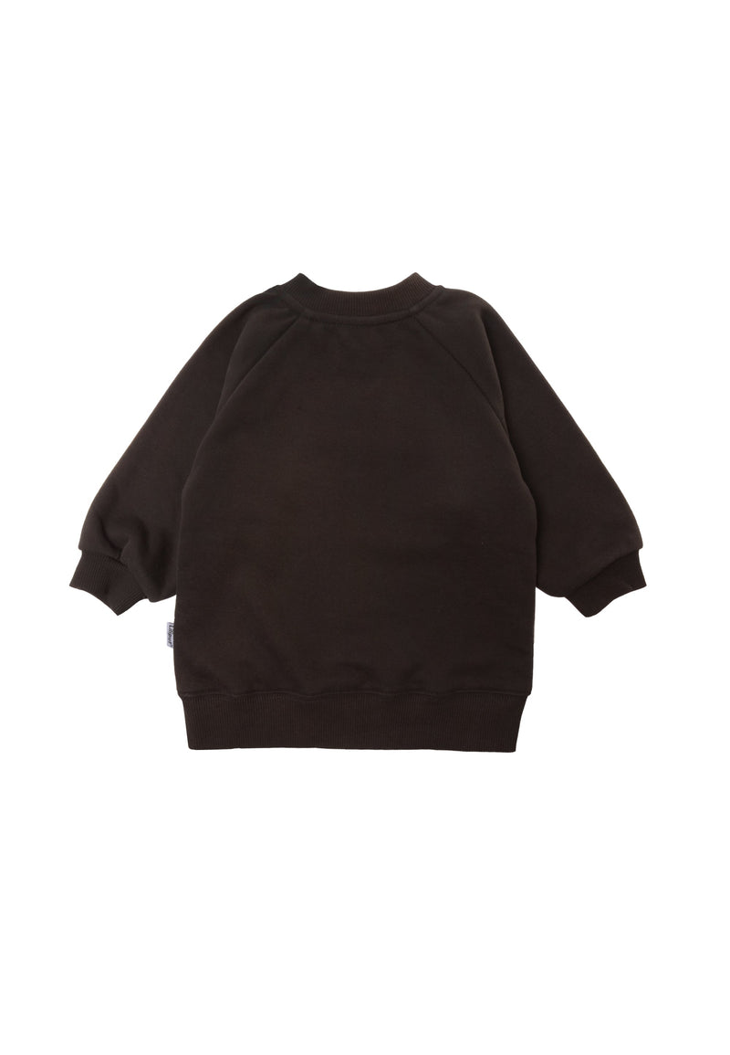 Rückseite des braunen Sweatshirts mit Raglanärmeln.