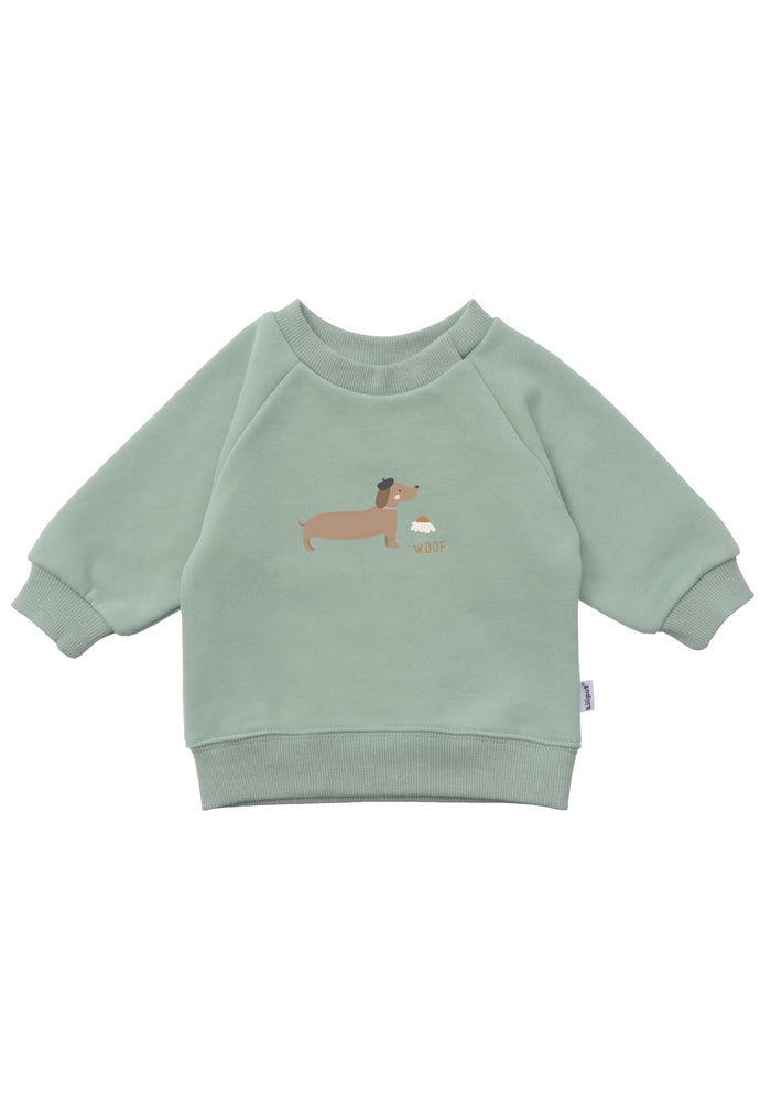 Sweatshirt in schilf mit Raglan Ärmeln und Dackel Print.