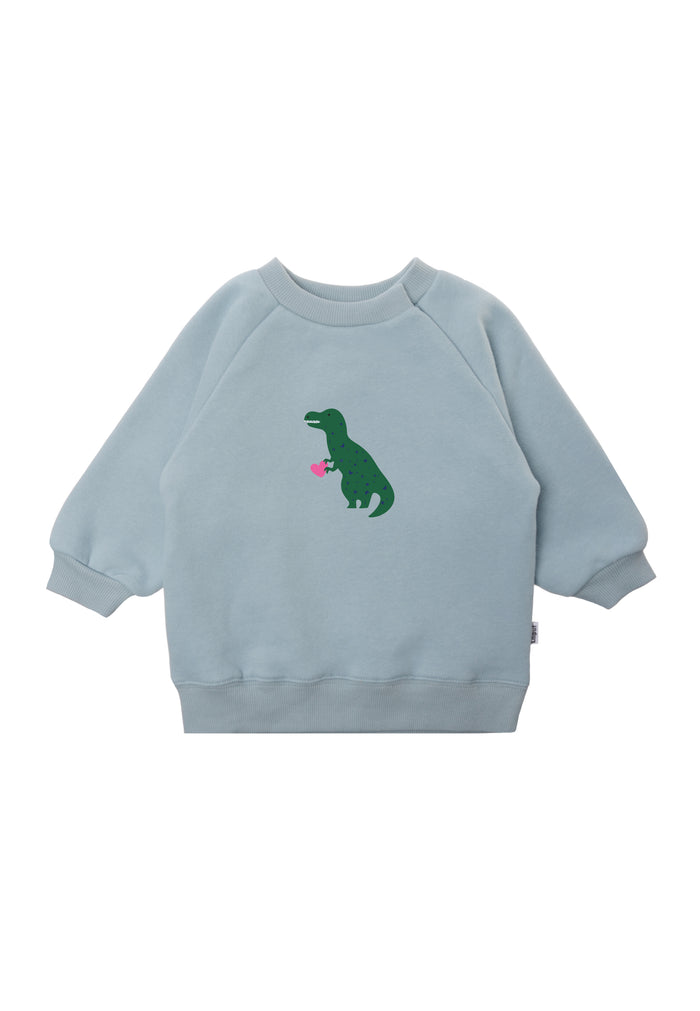 Sweatshirt in hellblau mit Raglan Ärmeln und Dinoprint