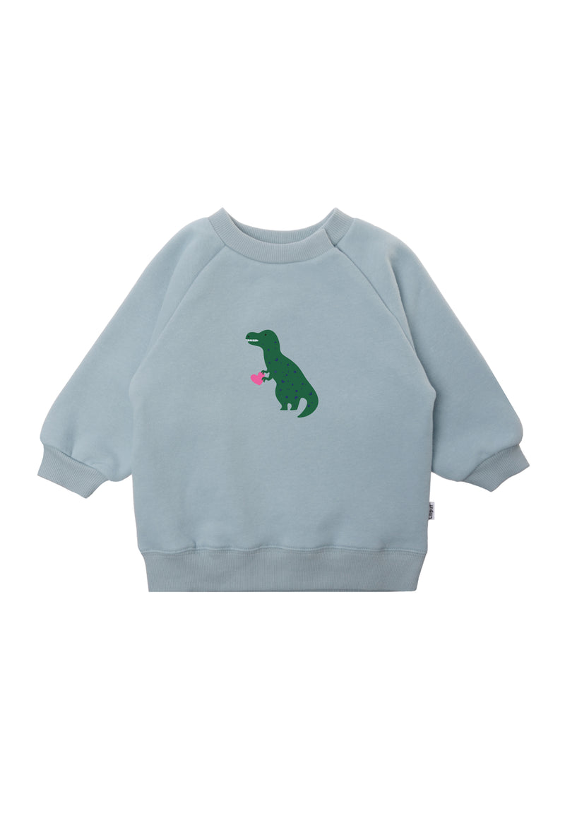 Sweatshirt in hellblau mit Raglan Ärmeln und Dinoprint