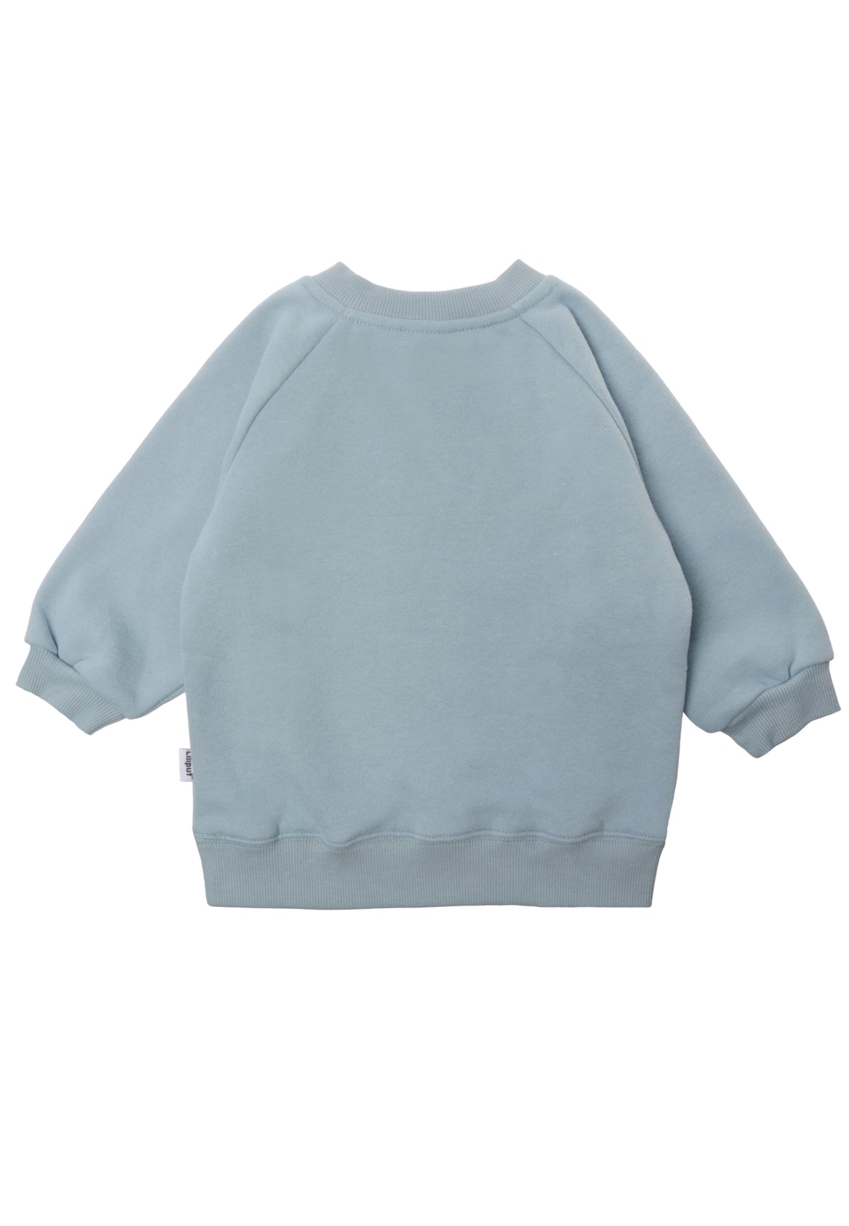 Kinder Sweatshirt "Endlich Schulkind" Hellblau