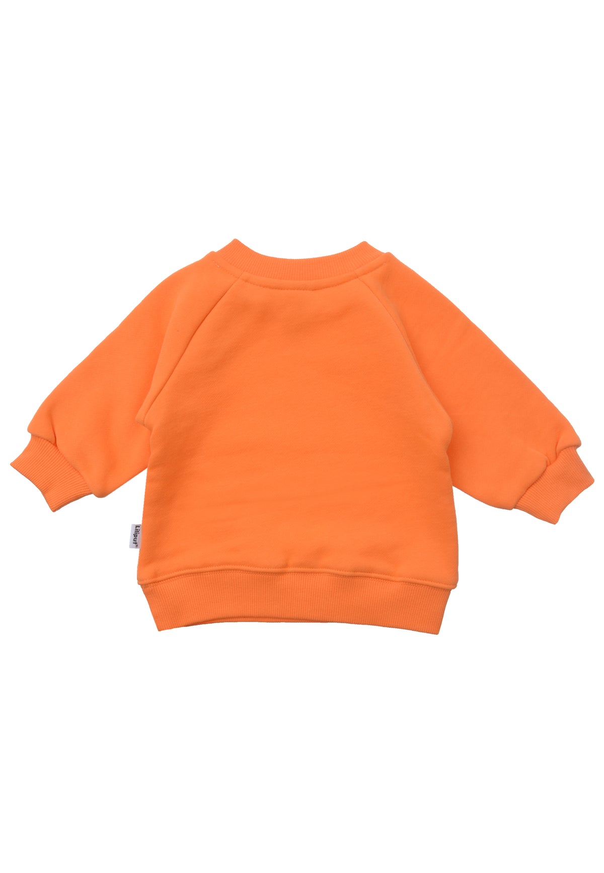 Oranges Sweatshirt mit „Autumn Vibe“-Print