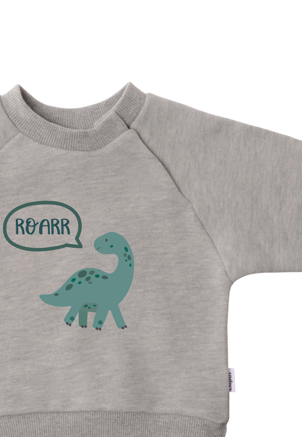 Graues Sweatshirt mit Dino Print
