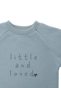 Weiches Sweatshirt in hellblau mit Print und Ribbündchen.