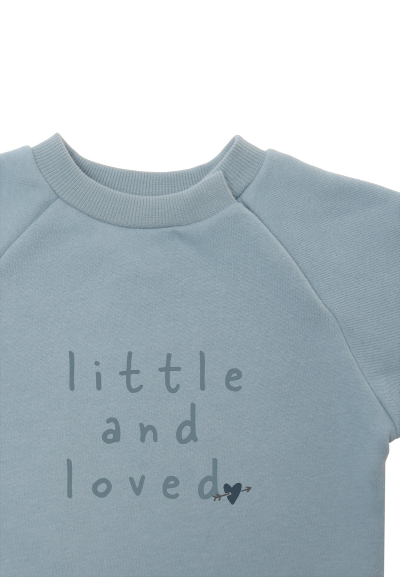 Weiches Sweatshirt in hellblau mit Print und Ribbündchen.