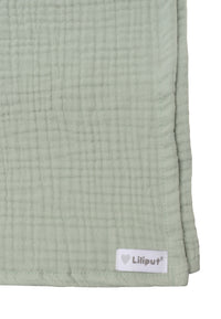 Detailaufnahme Liliput Patch.